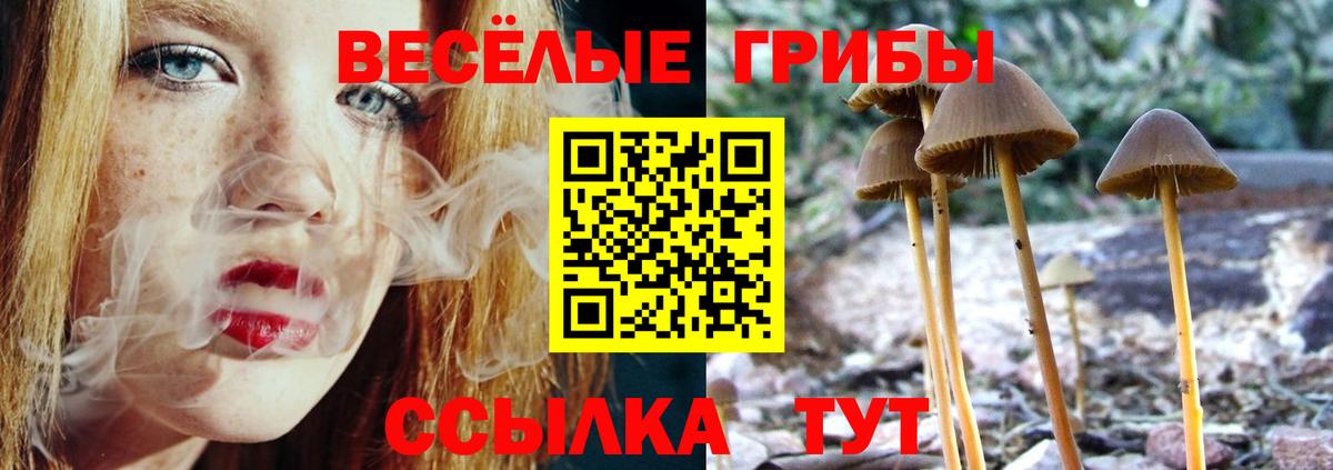 Галлюциногенные грибы Cubensis Кашира