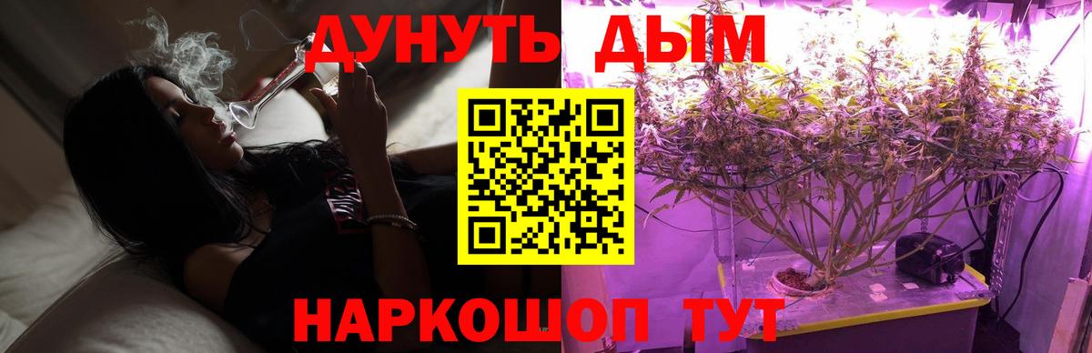 Бошки марихуана семена Кашира